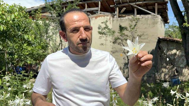 koruma altinda olan akzambaklardan elde edile 3 19957424 o