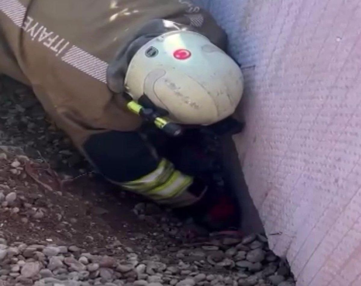 Kahramanmaraş'ta itfaiye ekipleri tarafından kurtarılan yavru kedi