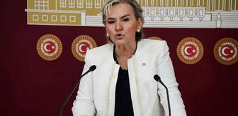 Nimet Özdemir kimdir? Nimet Özdemir CHP'den neden istifa etti?