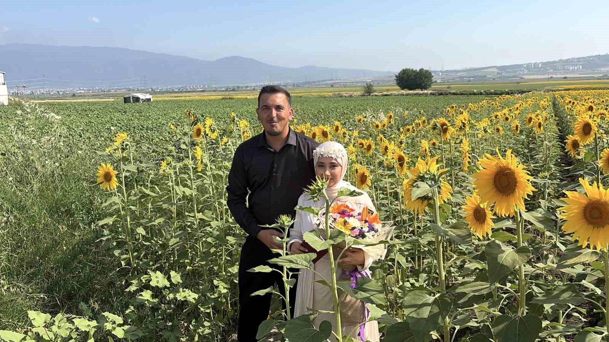 Osmaniye'de ayçiçeği tarlaları yeni evli çiftlerin gözdesi oldu