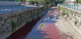 Samsun'da dereyi zirai ilaç ile kirleten işletmeye suç duyurusu
