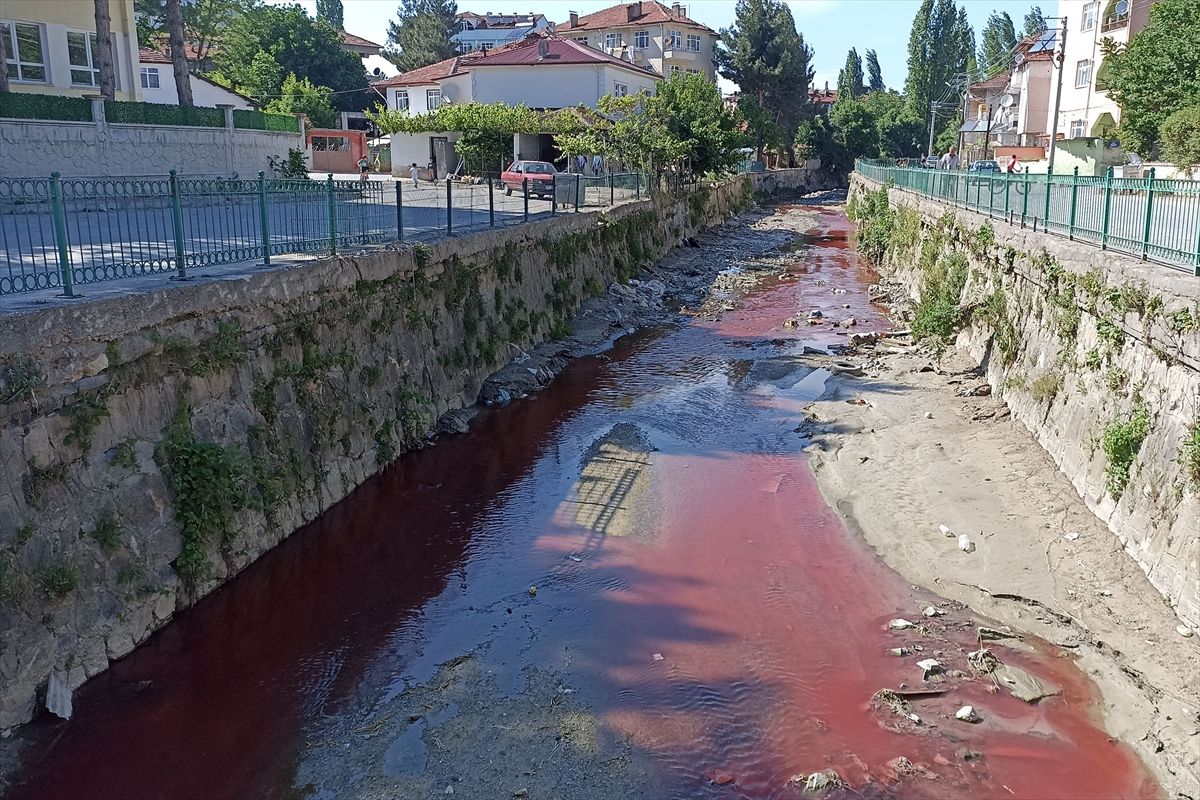 Samsun'da dereyi zirai ilaç ile kirleten işletmeye suç duyurusu