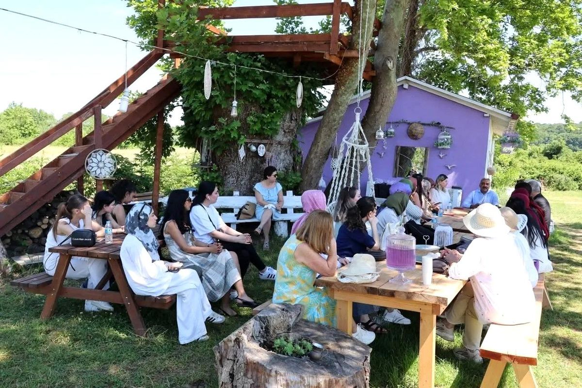 Sinop'ta lavanta bahçesinde bilimsel söyleşi