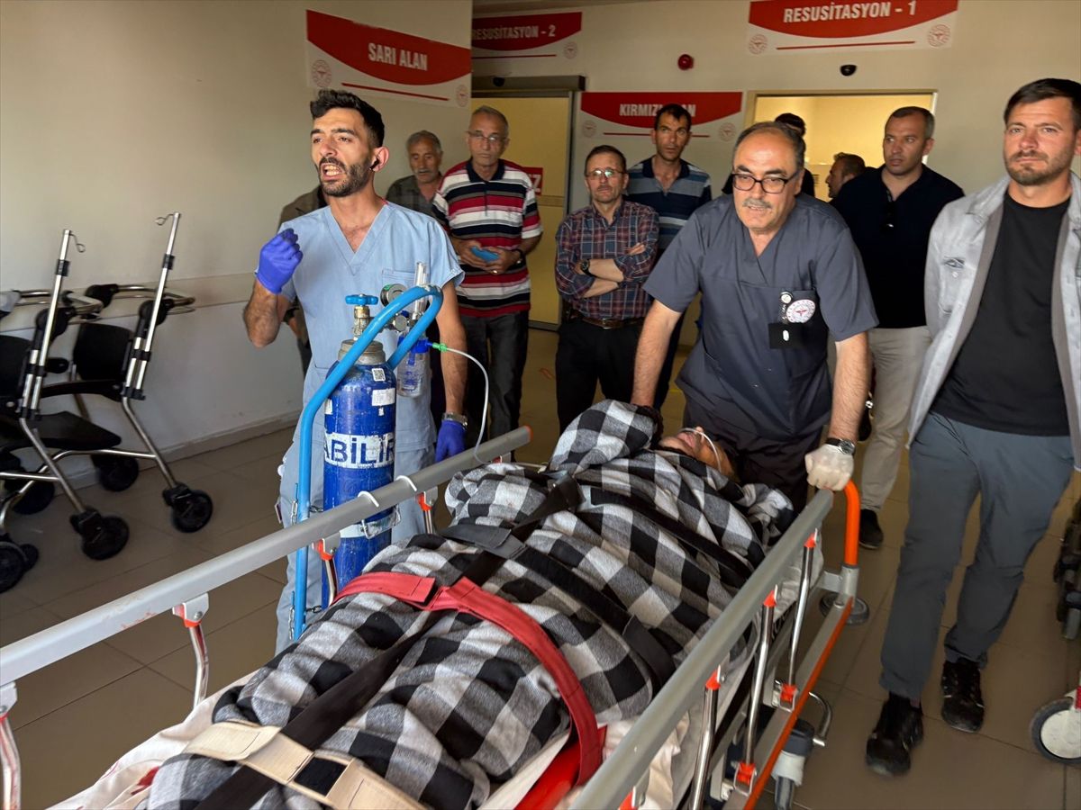 Sivas'ta ayı saldırısına uğrayan çoban yaralandı