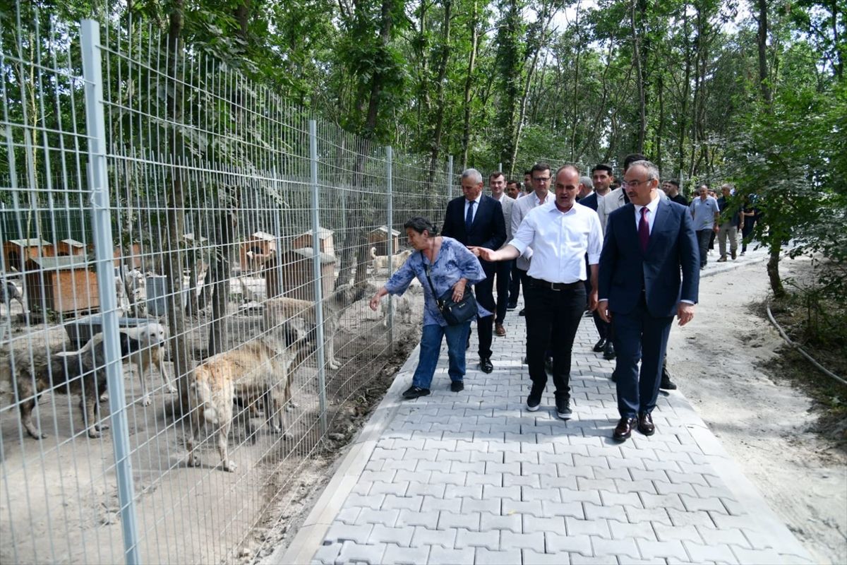 Tekirdağ Valisi Recep Soytürk, Çerkezköy'deki hayvan bakımevini inceliyor.