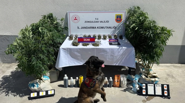 45 ilde narko pars operasyonu 19960794 9496 5 m