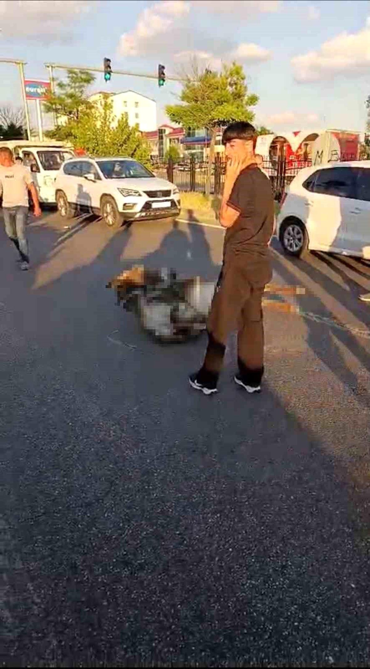 Bingöl'de otomobilin çarptığı eşek telef oldu