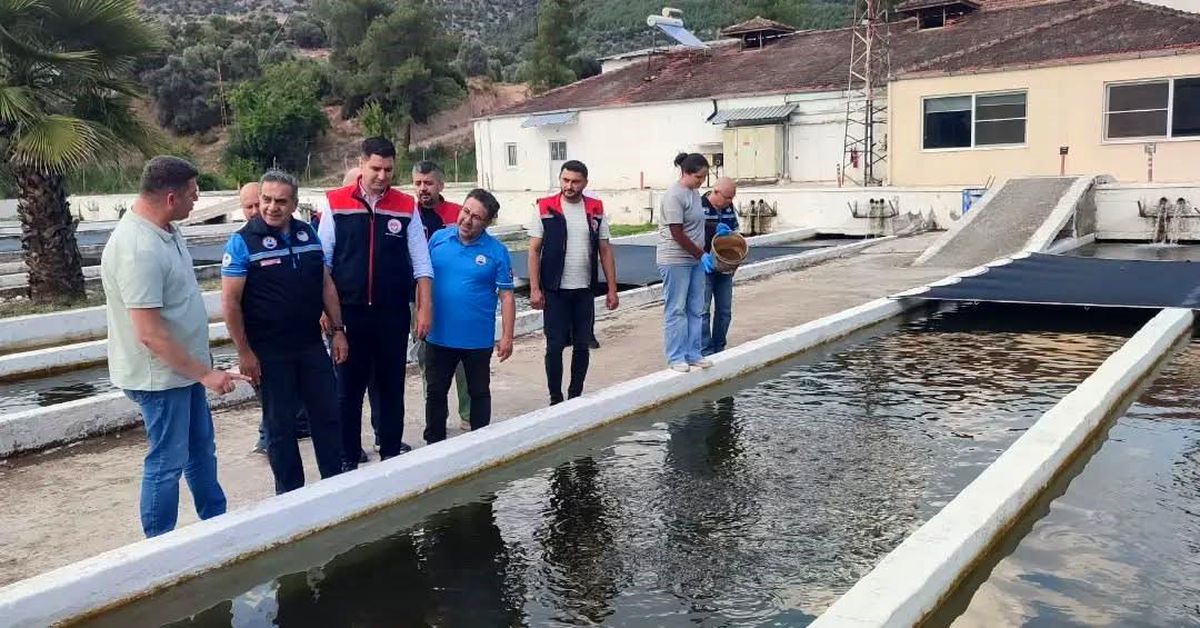 Bozdoğan'da su ürünleri üretimi 3 bin 696 tona ulaştı