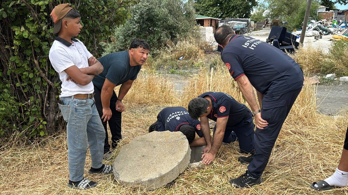 Büyükçekmece'de rögara düşen yavru köpek itfaiyenin çalışmasıyla kurtarıldı
