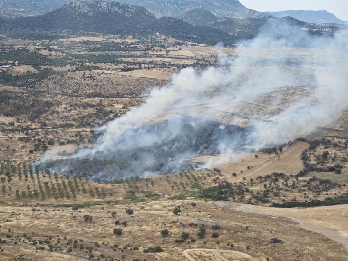 Çanakkale Ezine'de orman yangınına müdahale edildi