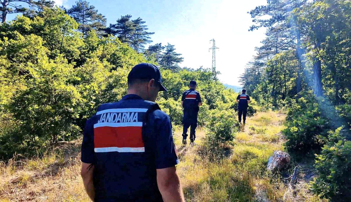 Çanakkale'de jandarma ekiplerinin ormanlık alanda yaptığı denetim