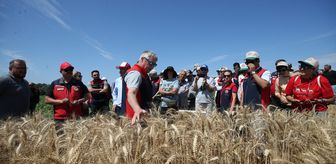 Çanakkale'de yerli 13 buğday ve 9 arpa çeşidi üreticiye tanıtıldı