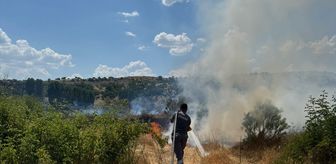 Diyarbakır'da ağaçlık alanda çıkan yangın söndürüldü