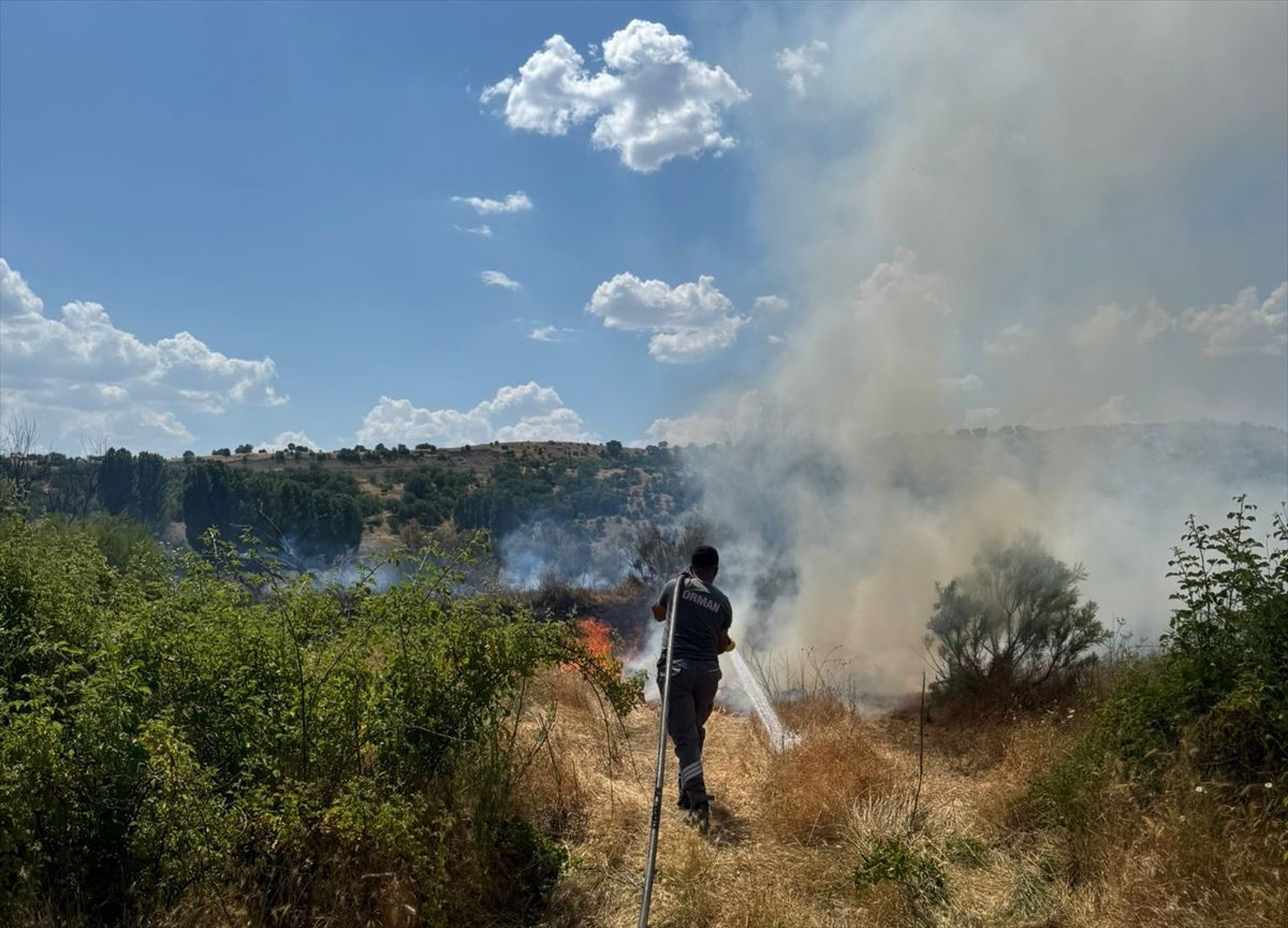 Diyarbakır'da ağaçlık alanda çıkan yangın söndürüldü