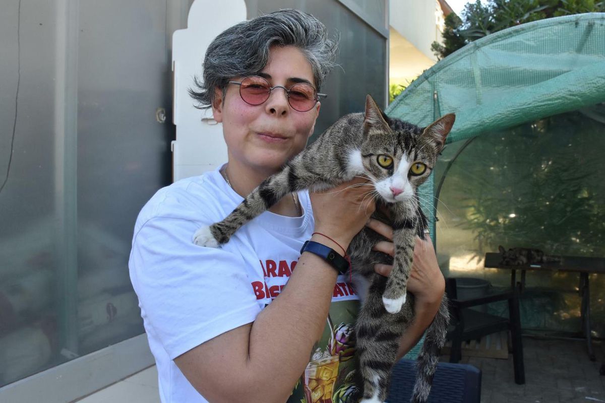 İzmir'de 6 milyonda 1 görülen olay! Erkek kedi doğum yaptı