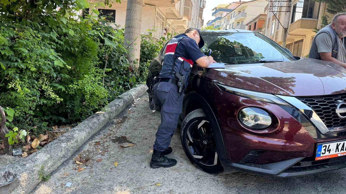 Geri kayan otomobil ağaca çarpı: 3 yaralı