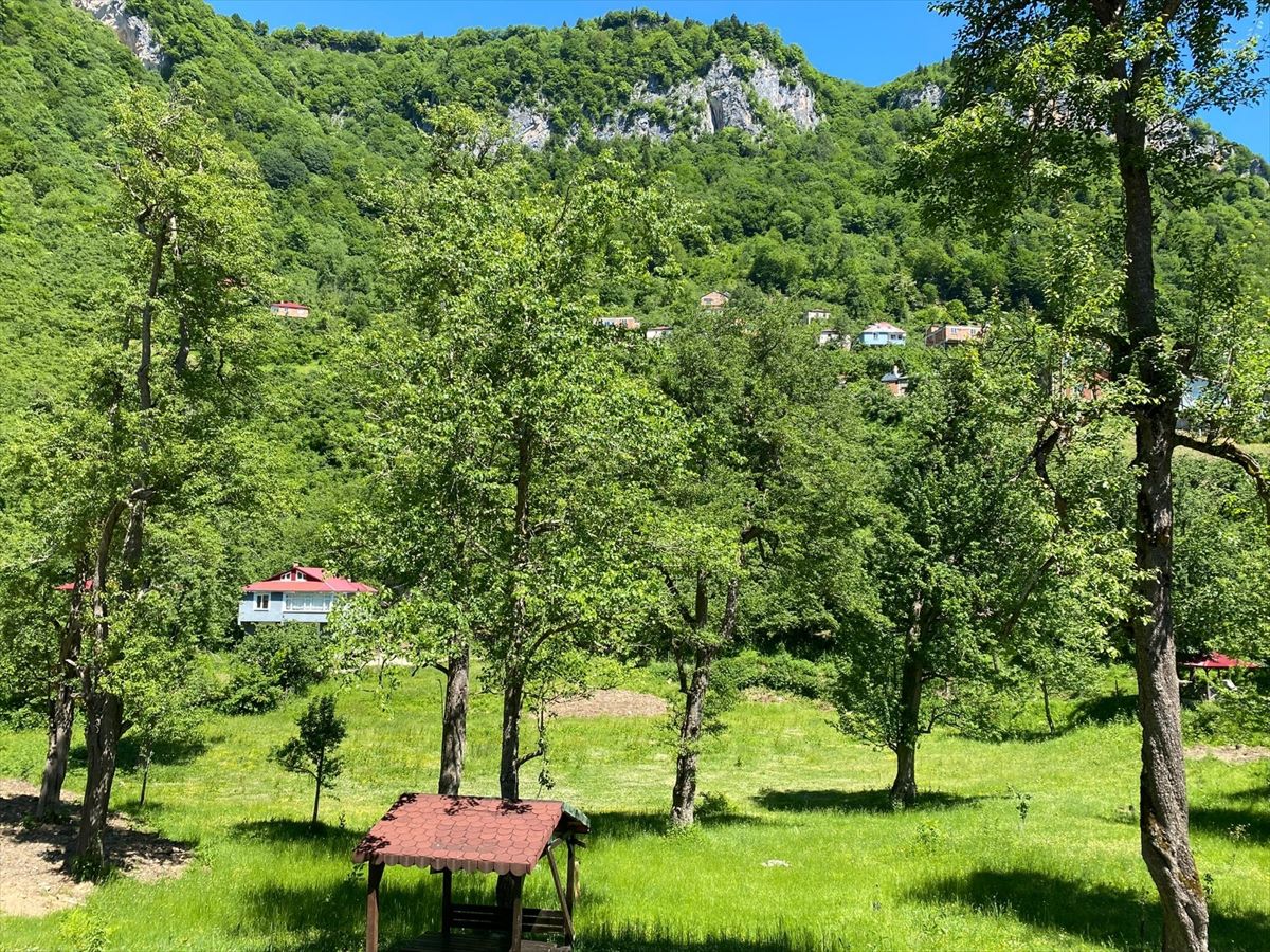 Giresun'dan kısa kısa