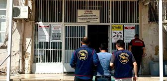 Mardin'de 5 firari hükümlü yakalandı
