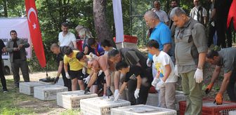 Ordu'da kahverengi kokarcayla biyolojik mücadele için doğaya 1600 sülün bırakıldı