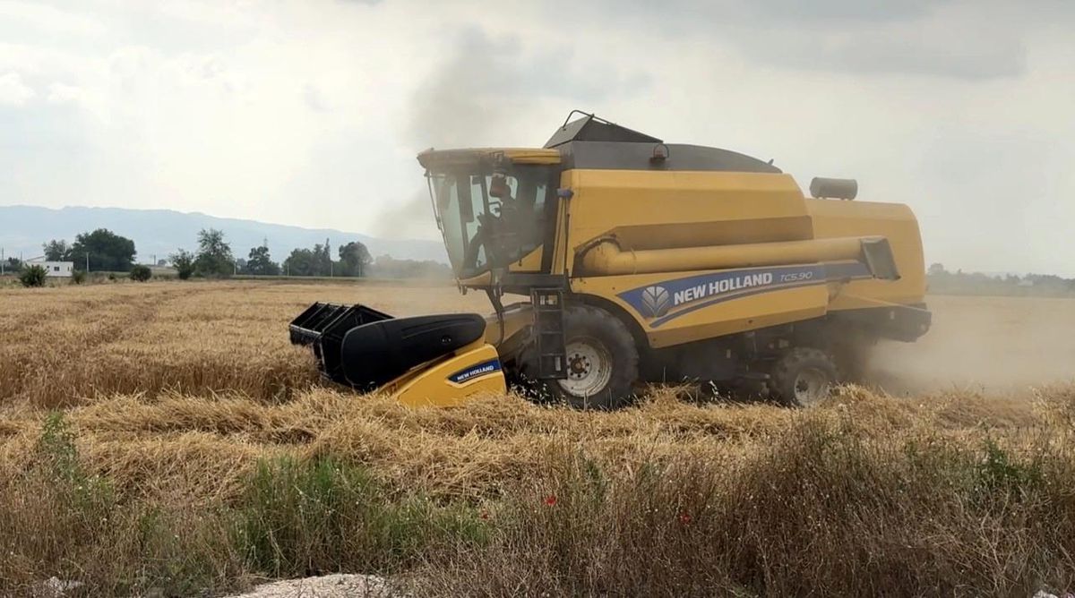 Osmaniye'de 15 gün gecikmeli başlayan hasatta yüksek verim sevinci
