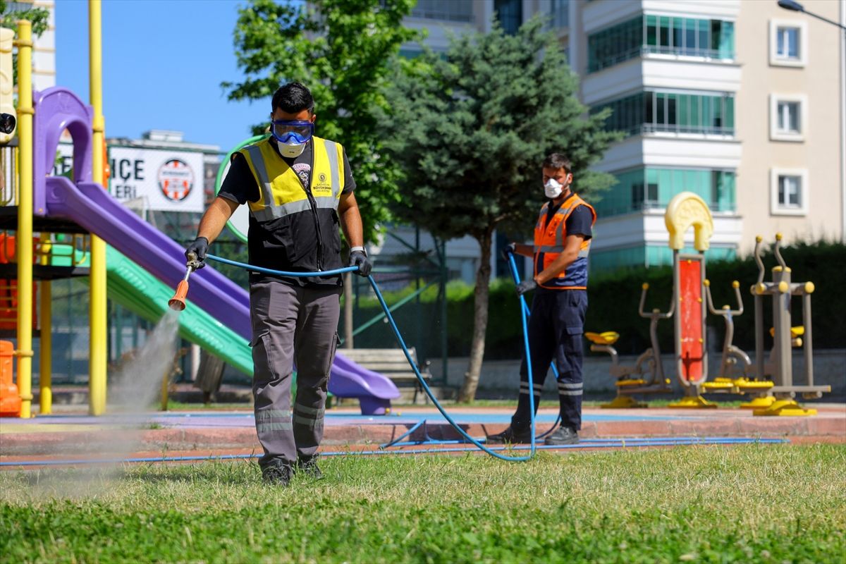 Samsun'da yaz aylarında vektörle mücadele çalışmaları artırıldı