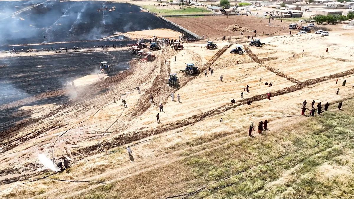 Şanlıurfa'da çıkan anız yangınları sonrası oluşan dumanlar ve yanan tarım arazileri