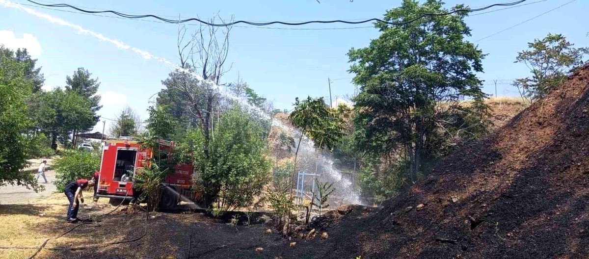 Siirt'te otluk alanda çıkan yangın, itfaiye ekiplerinin müdahalesiyle kontrol altına alınıyor.