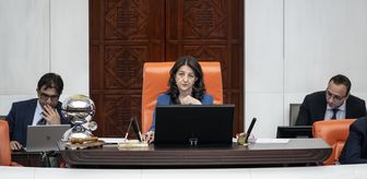 AP'nin Türkiye raporu reddedildi