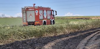 Tekirdağ'da 100 dekar buğday ekili alan yandı