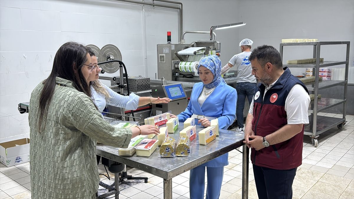 Üç kız kardeş, babalarından devraldıkları süt ürünleri tesisiyle yurt dışına açılmak istiyor