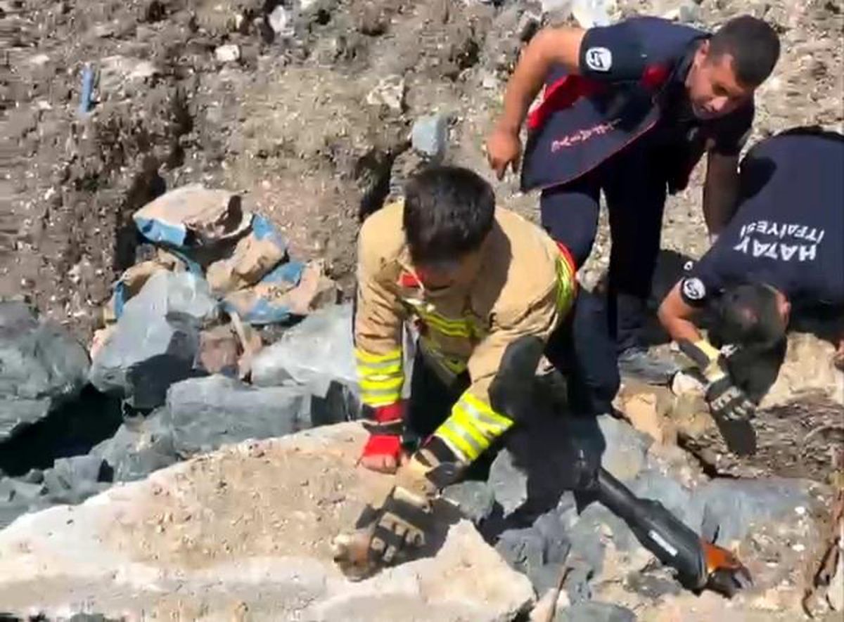 Hatay'da itfaiye ekipleri boru içinde sıkışan yavru kedileri kurtarıyor.