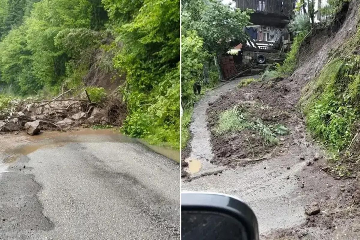 Artvin'de sağanak sonrası dereler taştı
