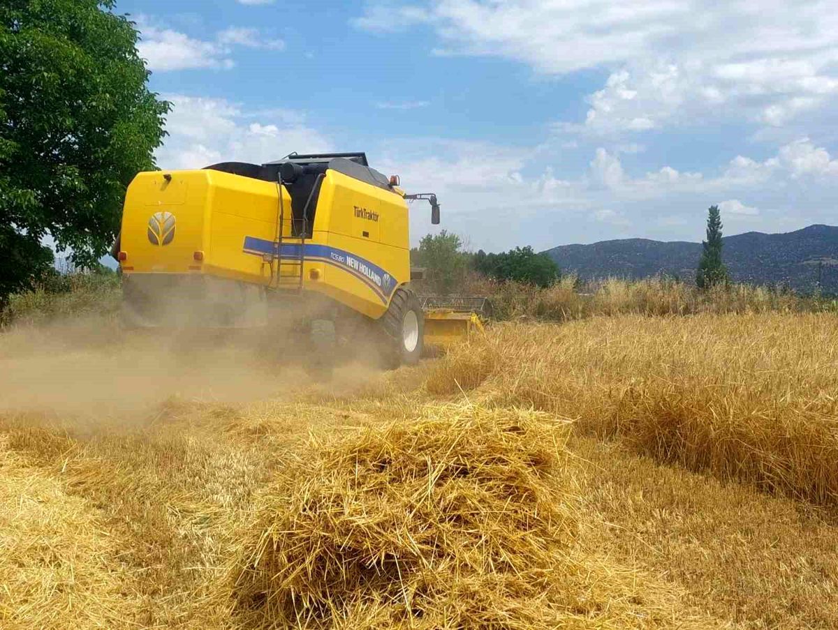 Bozdoğan'da biçerdöverler sıkı denetimde