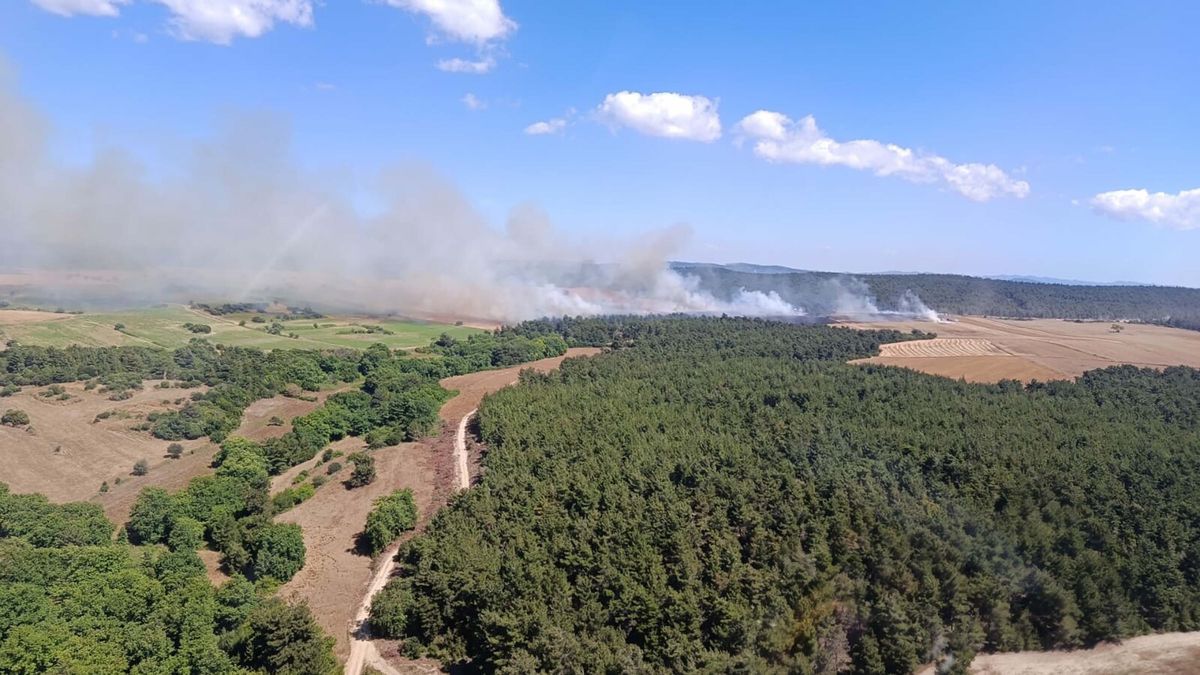 Çanakkale Eceabat'ta orman yangını söndürme çalışmaları.