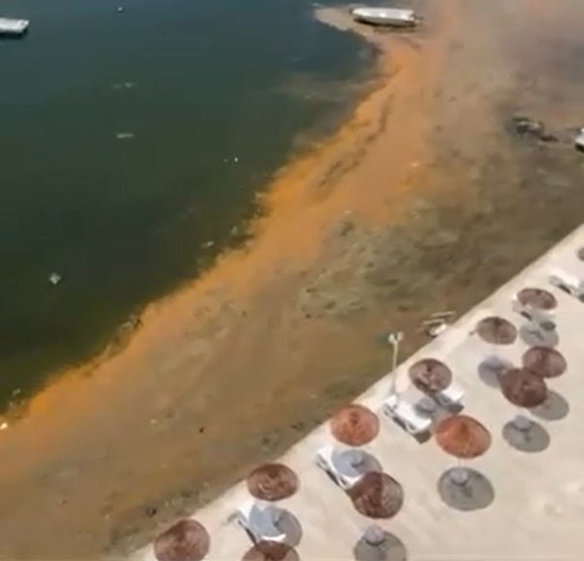 Marmara Denizi'nde alg patlaması müsilaj habercisi mi?