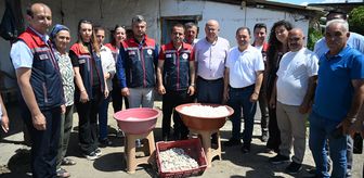 Edirne'de ipekböceği yetiştiren kadın üreticiler yaş kozaları topladı