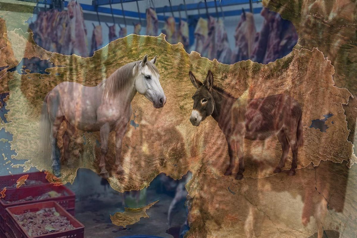 İki ilde vatandaşa at ve eşek eti yedirdiler! İşte bakanlığın ifşa ettiği o markalar