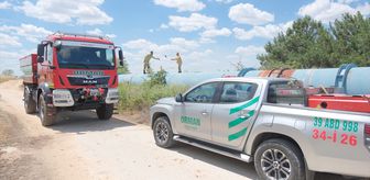 Kırklareli'nde 500 dekar buğday ve arpa ekili alan yandı