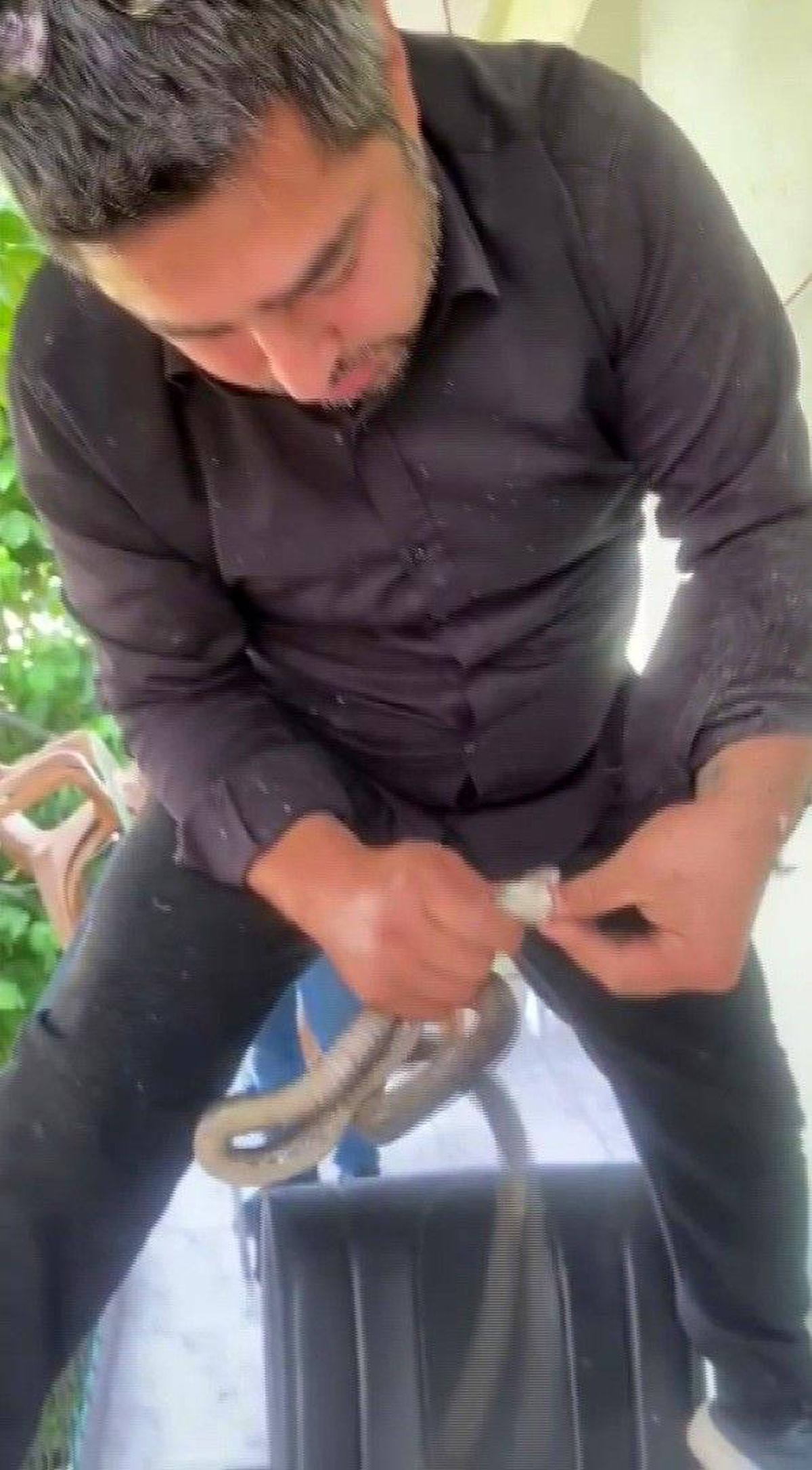 Hatay'da bir evde yakalanan 1 metrelik sikkeli yılan.