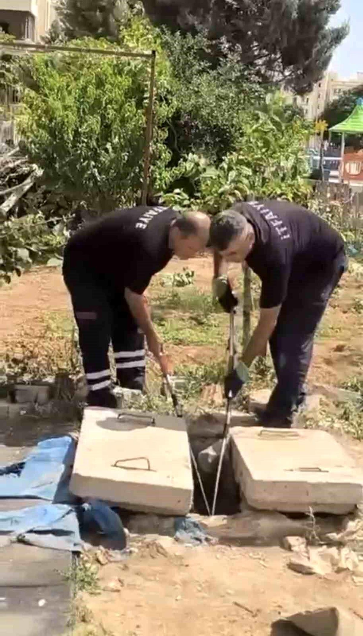 Mardin'de kuyuda görülen yılan doğaya bırakıldı