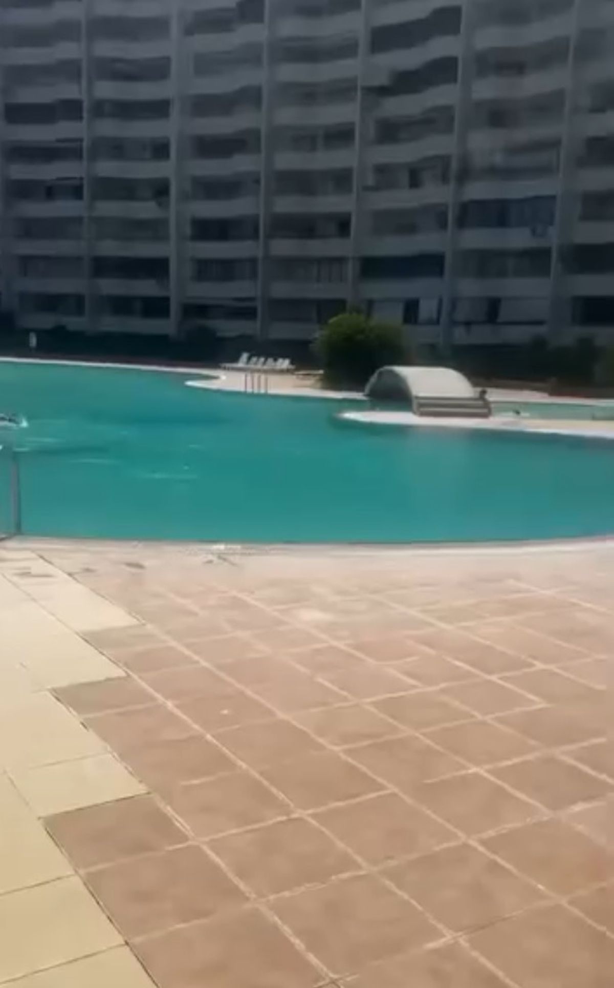 Mersin'de bir kadının haşema ile havuza alınmadığı iddiası