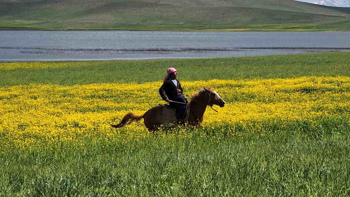 Van'da bir yanda çiçekler, diğer yanda metrelerce kar