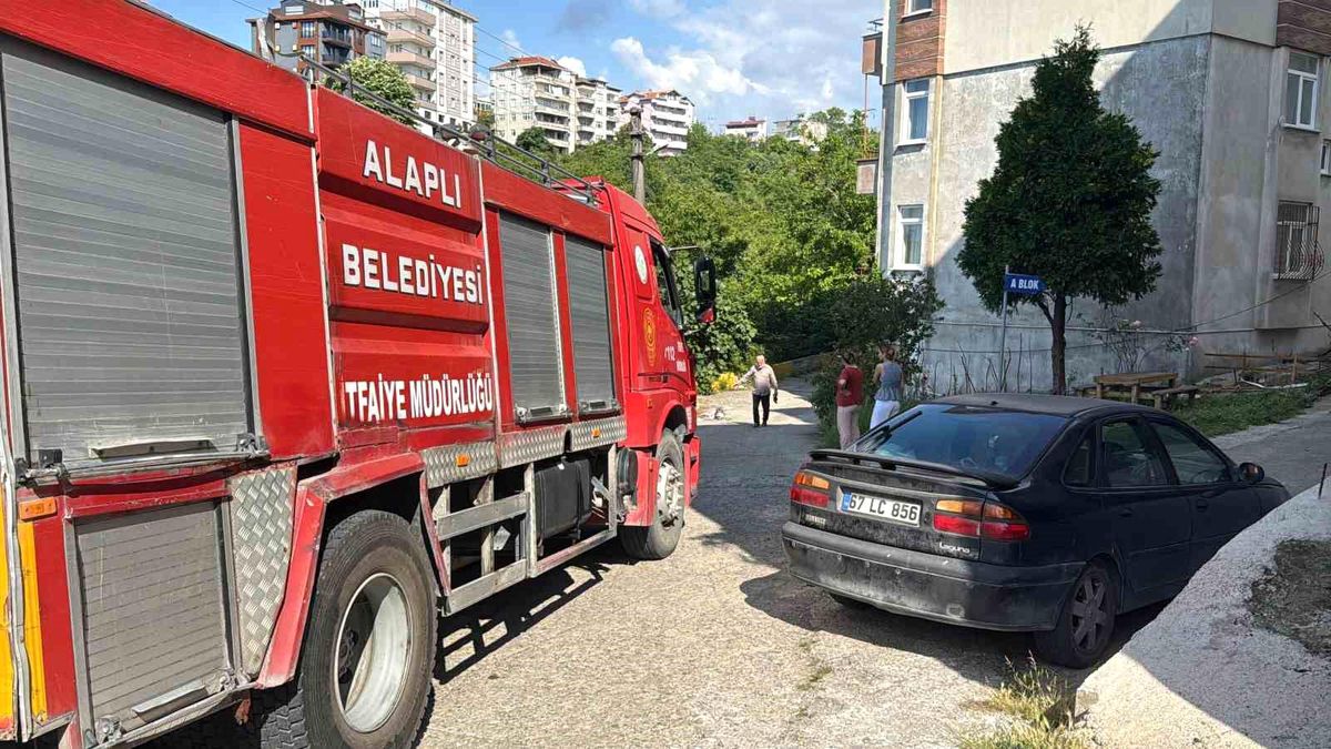 Alaplı'da alev topuna dönen piknik tüpü korkuttu