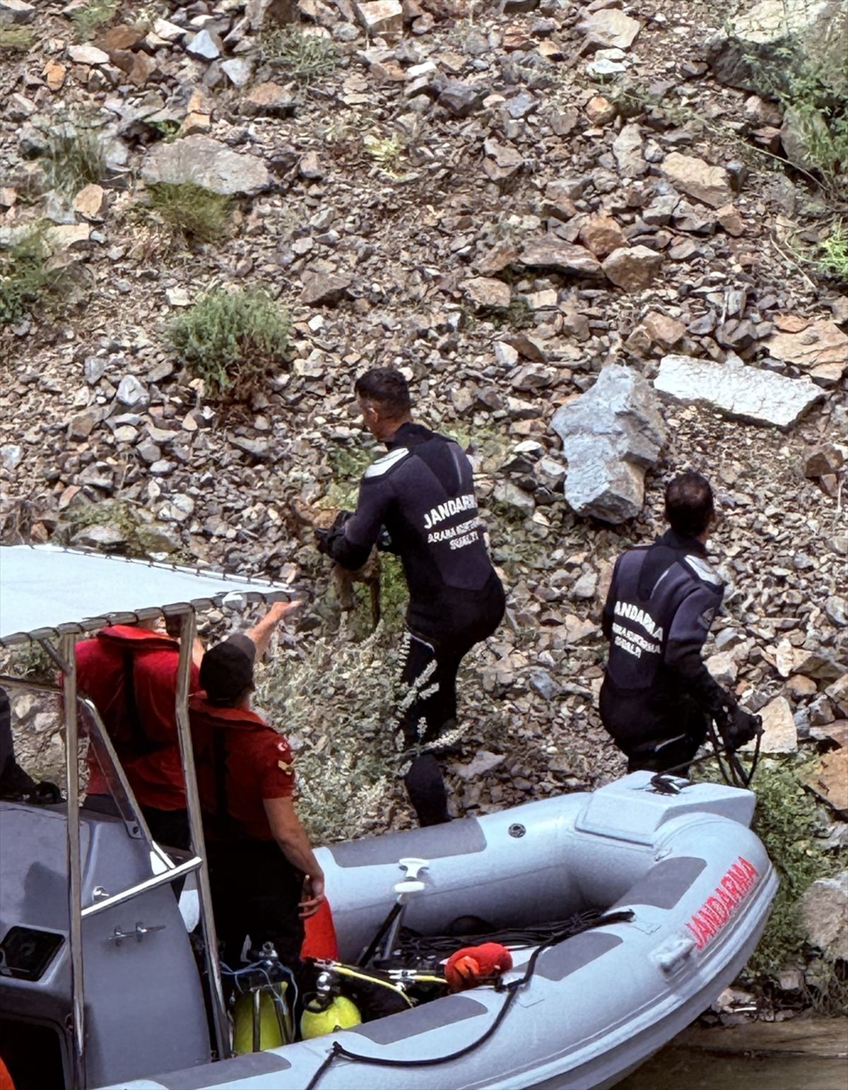 Artvin'de Deriner Barajı'nın sarp kayalıklarında mahsur kalmış bir oğlağın jandarma ekipleri tarafından kurtarılması.