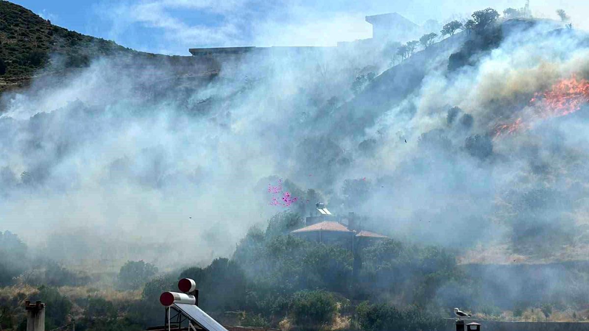 Ayvacık'ta makilik alanda yangın çıktı