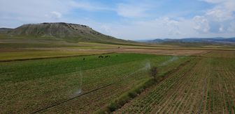 Eskişehir'de 405 bin dekar tarım arazisine sulama