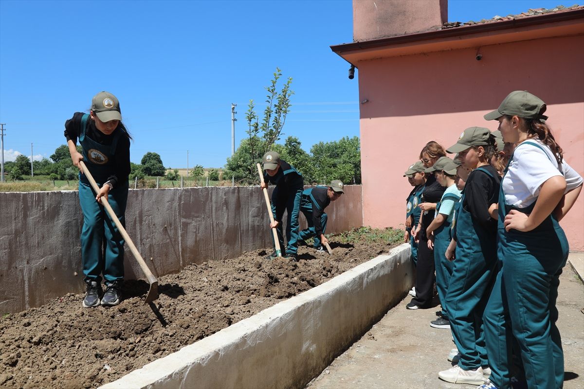 Kızılırmak Deltası'nın korunması için 'geleceğin çiftçileri'ne organik tarım eğitimi