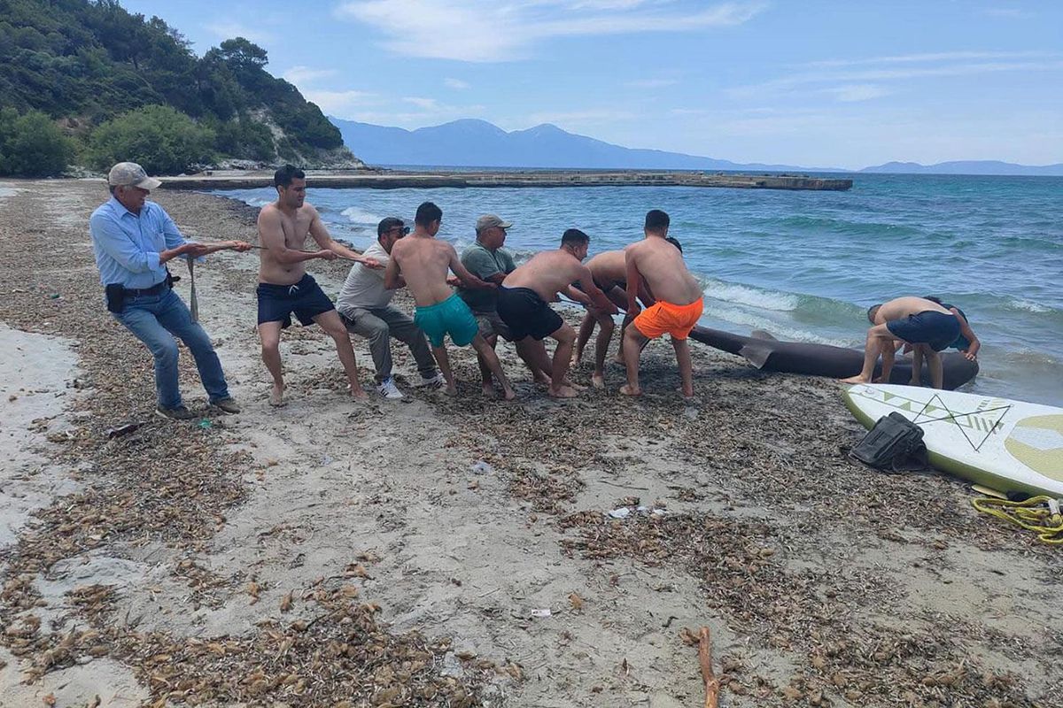 Kuşadası'nda sahile ölü köpek balığı vurdu