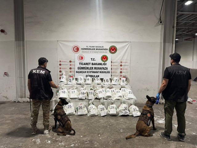 Overview image of the drug seizures operations