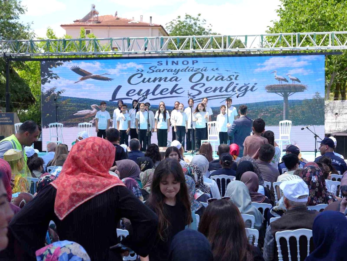 Sinop'ta düzenlenen ilk Leylek Şenliği'nde yavru leyleklere halka takılıyor.